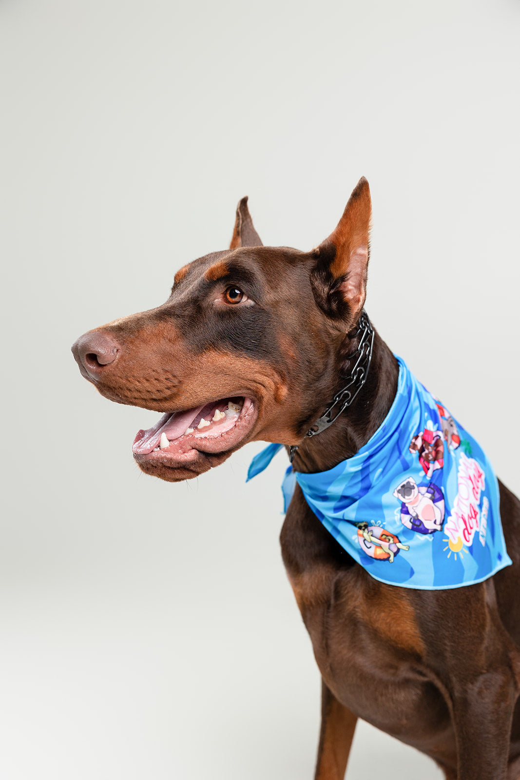 Bandana National Dog Day 2024